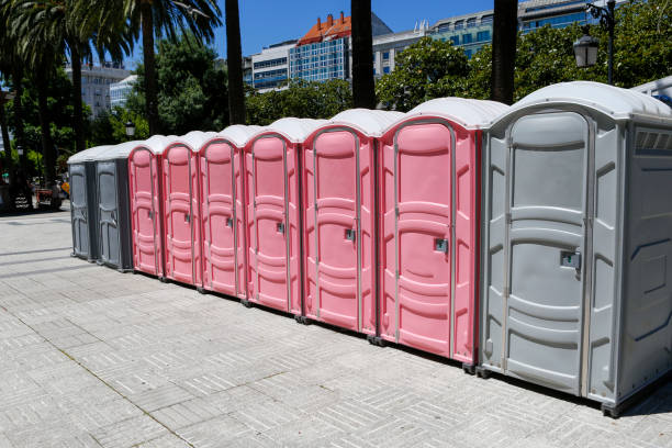 Best Portable Toilets for Parks and Recreation Areas  in Bangor, MI